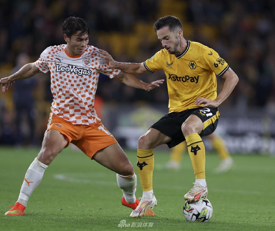 东契奇福克 东契奇福克